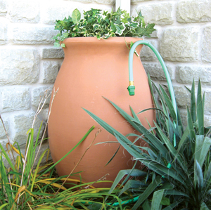Rain barrel with plants and a hose attachment.