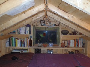 Tiny Home Loft Bed