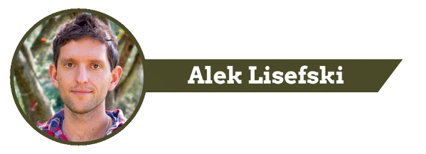 alek-lisefski