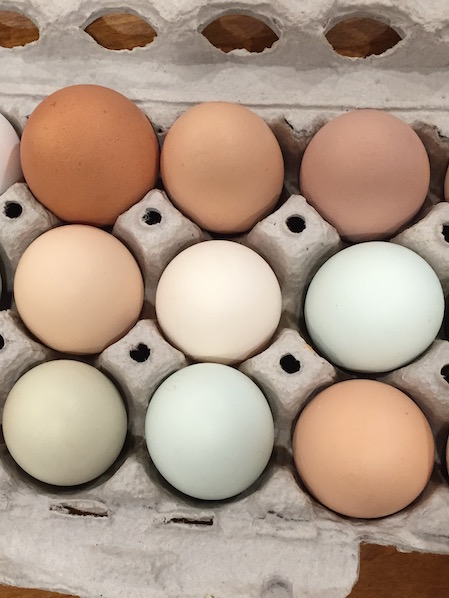 farm fresh eggs