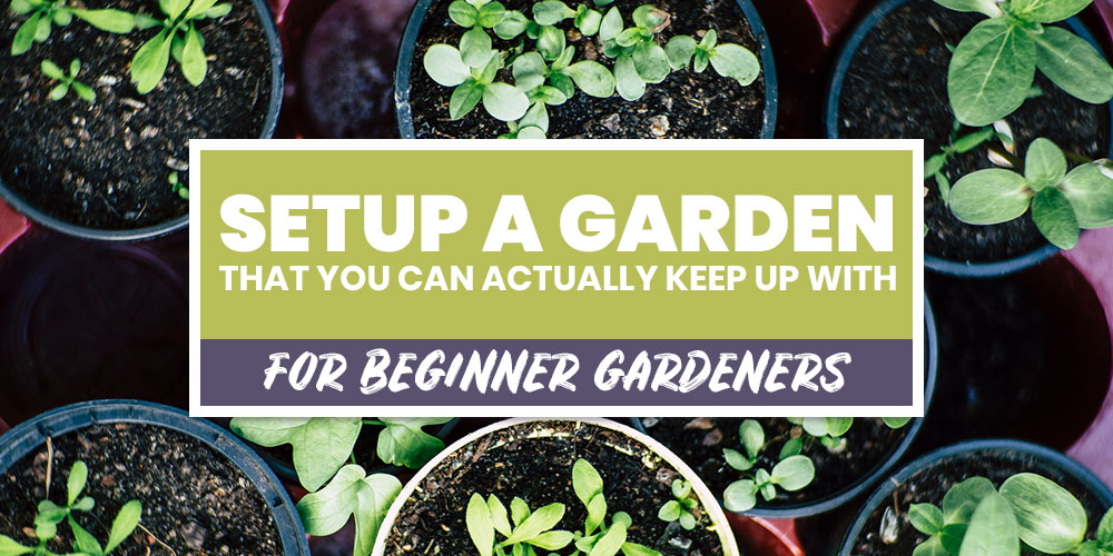 set up a garden thats easy to keep up with