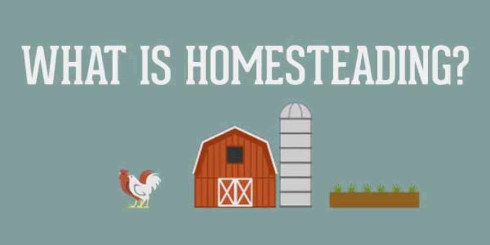 What is Homesteading?