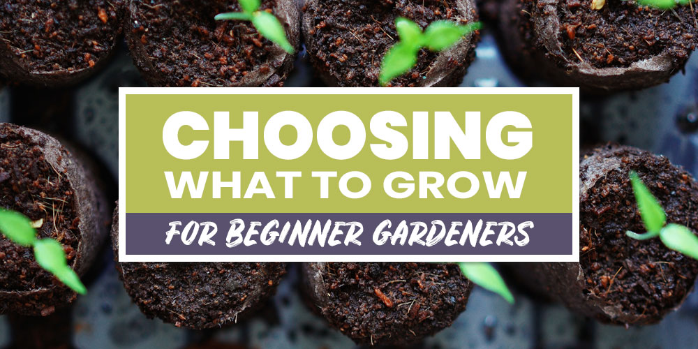 choosing what to grow in a garden