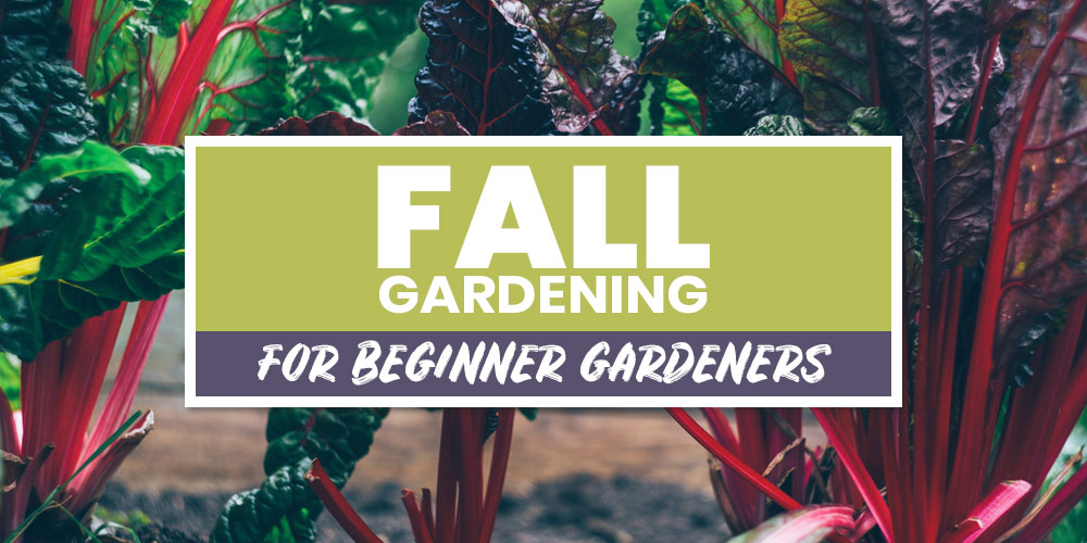 fall gardening 