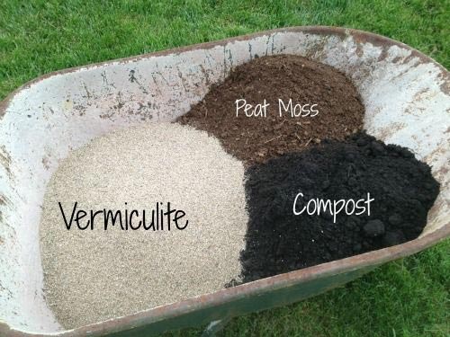 raised bed soil mixture for good growing a garden