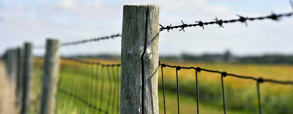 fencing your land