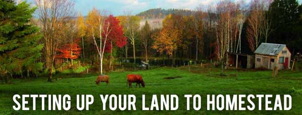 land to homestead