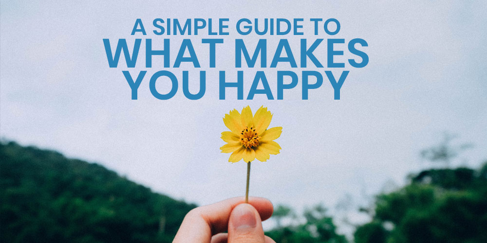 simple guide to what makes you happy