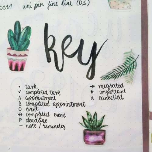 cactus key page