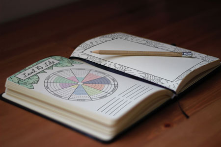 wheel of life journal 