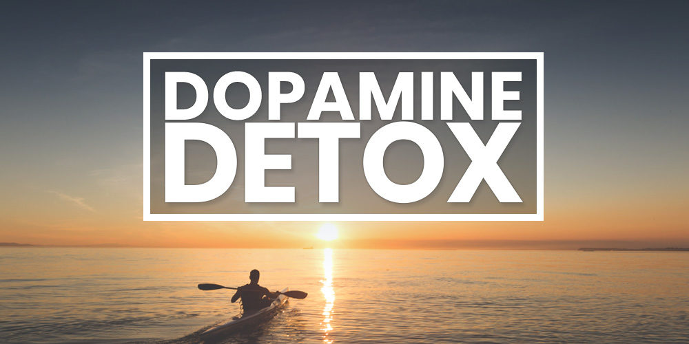 Dopamine Detox – Fix Your Brain and Survive Modern Life With a Dopamine Fast