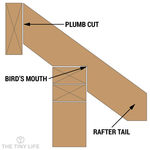 rafter tail description