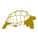 tortoise shell homes