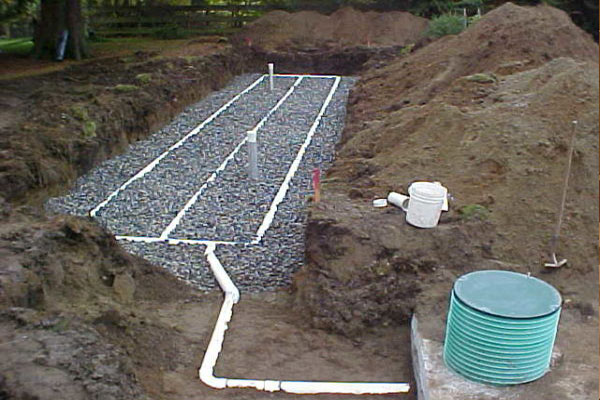 drain field for septic system