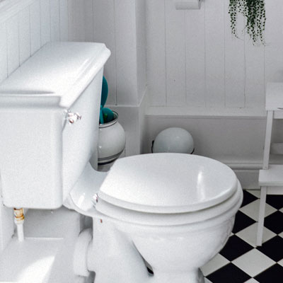 traditional flush toilet