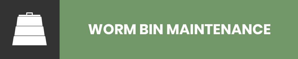 How Do I Maintain My Worm Bin
