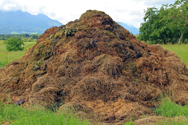 anaerobic compost pile