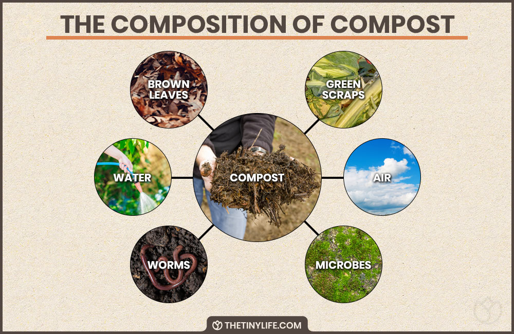 how compost is made