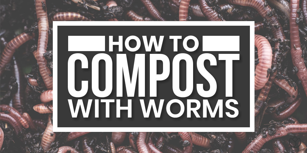 how to compost with worms
