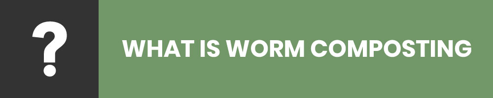 what is worm composting