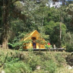 tiny house for rent jungle of panama
