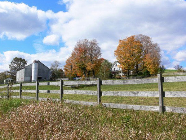 West Virginia Farming And Homesteading