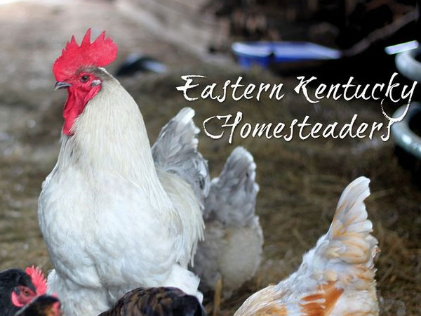 Eastern Kentucky Homesteaders
