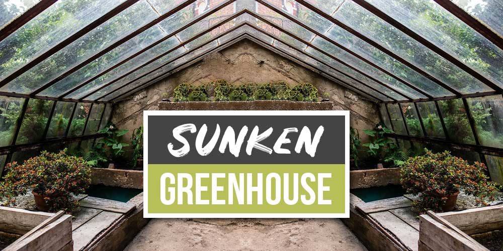 Sunken Greenhouse: The Solution To Plant Year Round