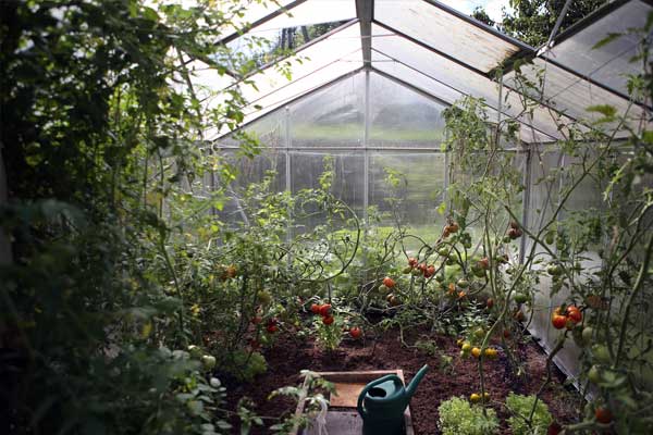 Sunken Greenhouse Roofing Options