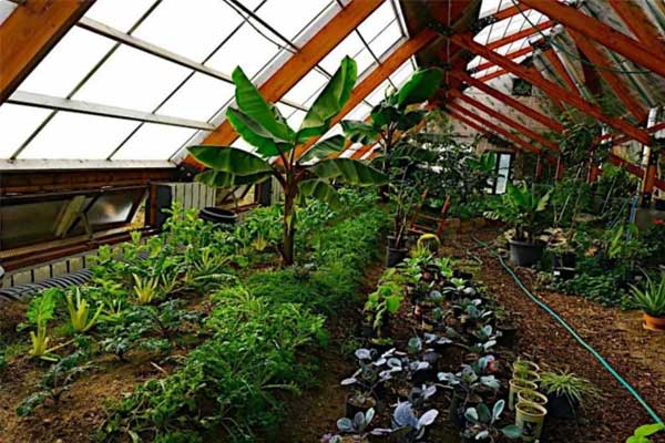 Wallapini sunken greenhouse design