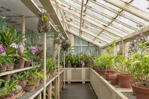 sunken greenhouse for plants