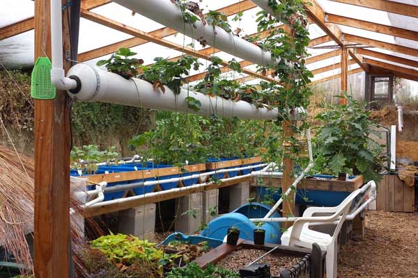 sunken greenhouse layout