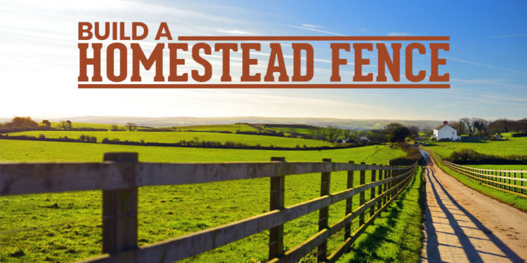 build a homestead fence