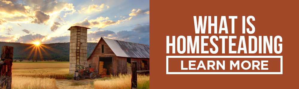 what is homesteading