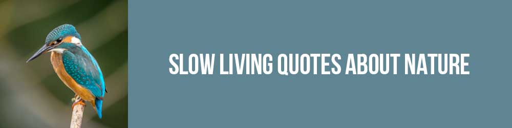 Slow Living Quotes About Nature