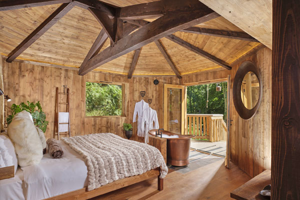 bedroom in a tree house