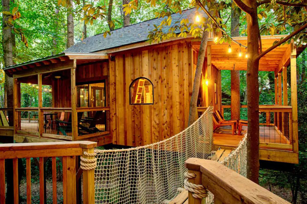 cabin like tree house design