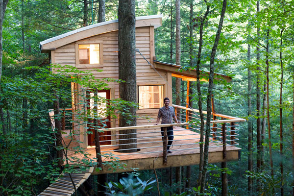 contemporary tree house design