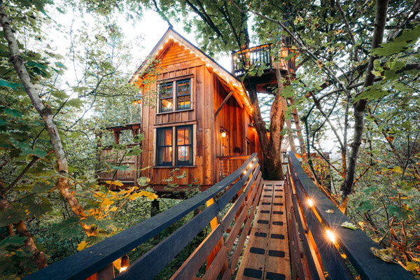 exterior of tree house