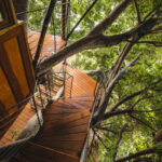 tree house for rent honolulu