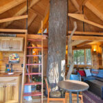 tree house interior washington