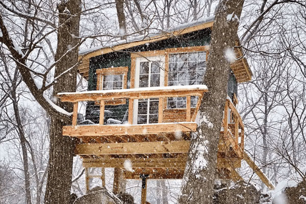 tree house two story