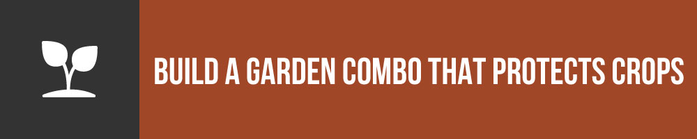 Build A Garden Combo That Protects Crops