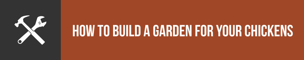 How To Build A Garden For Your Chickens