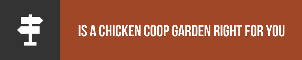 Is A Chicken Coop Garden Combo Right For You