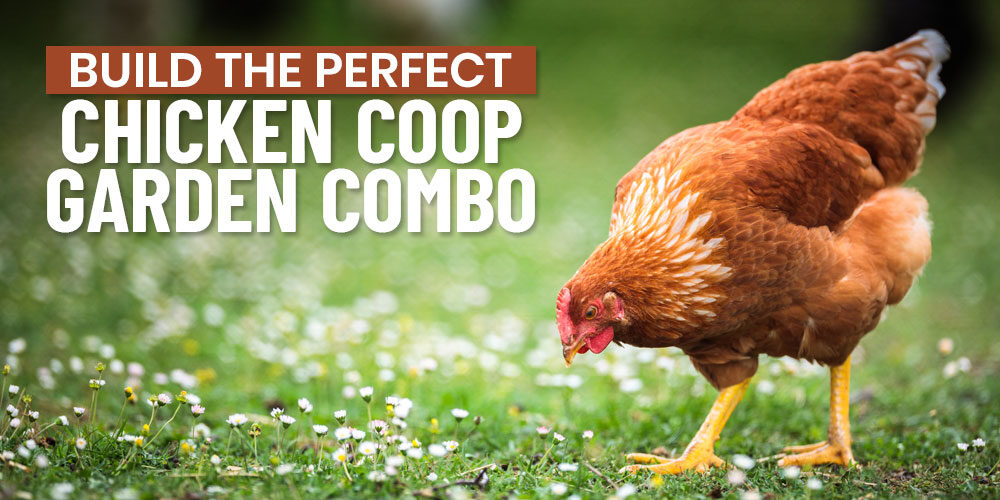How To Build The Perfect Chicken Coop Garden Combo 
