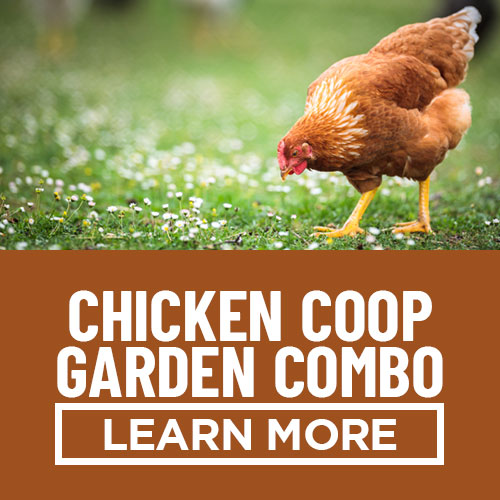 chicken coop garden combo