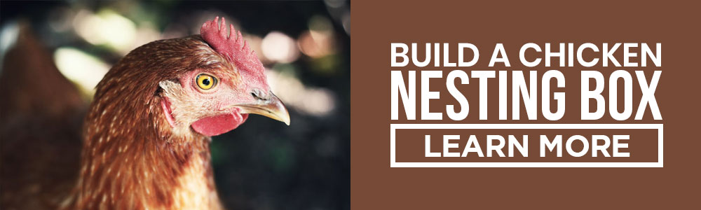 how to build nesting boxes for chickens