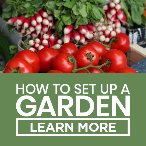 how to set up a garden