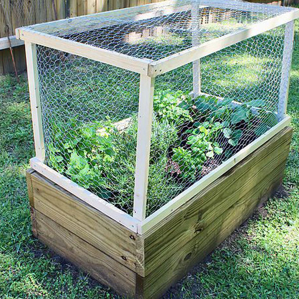 raised and screened garden beds